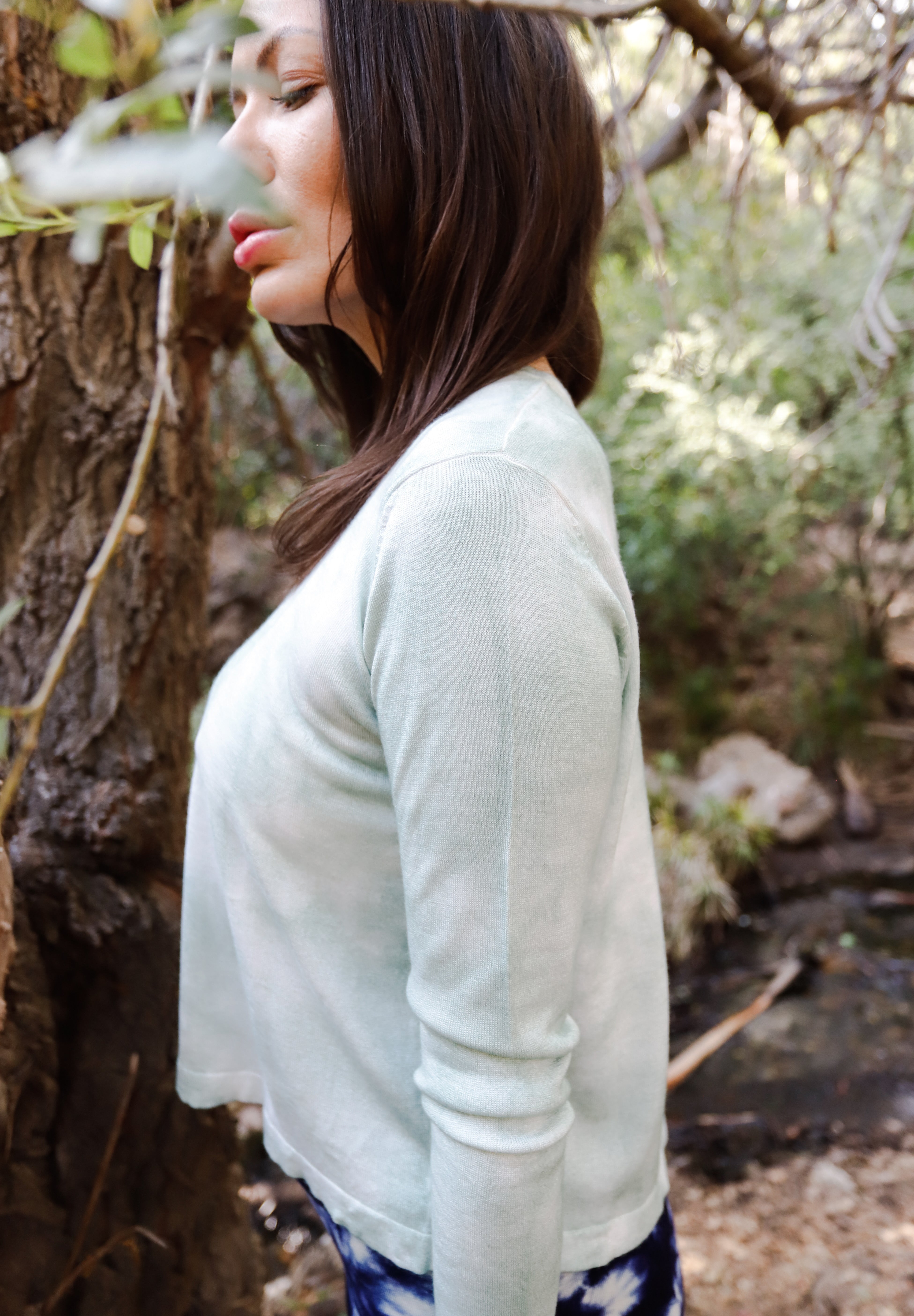 Santati Long- Vega dye